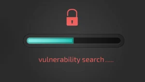 Vulnerability Analysis